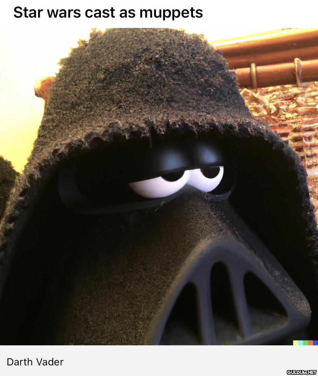 Star wars cast as muppets...