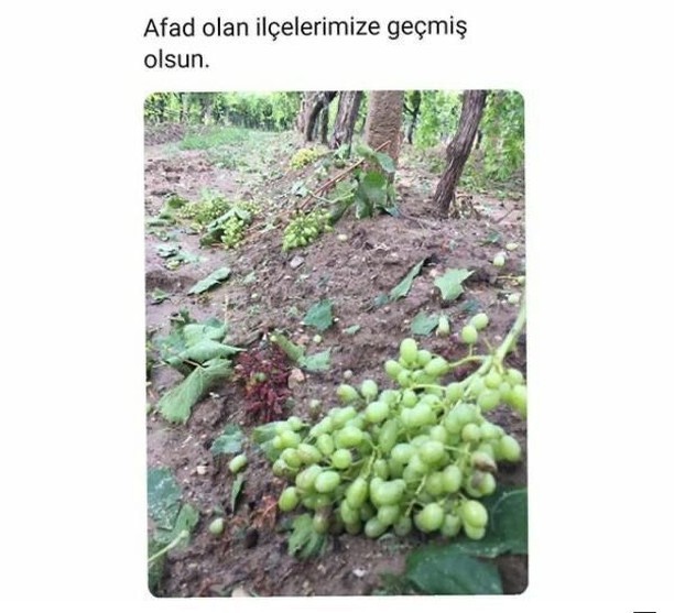 AFAD mı?   Kaynak