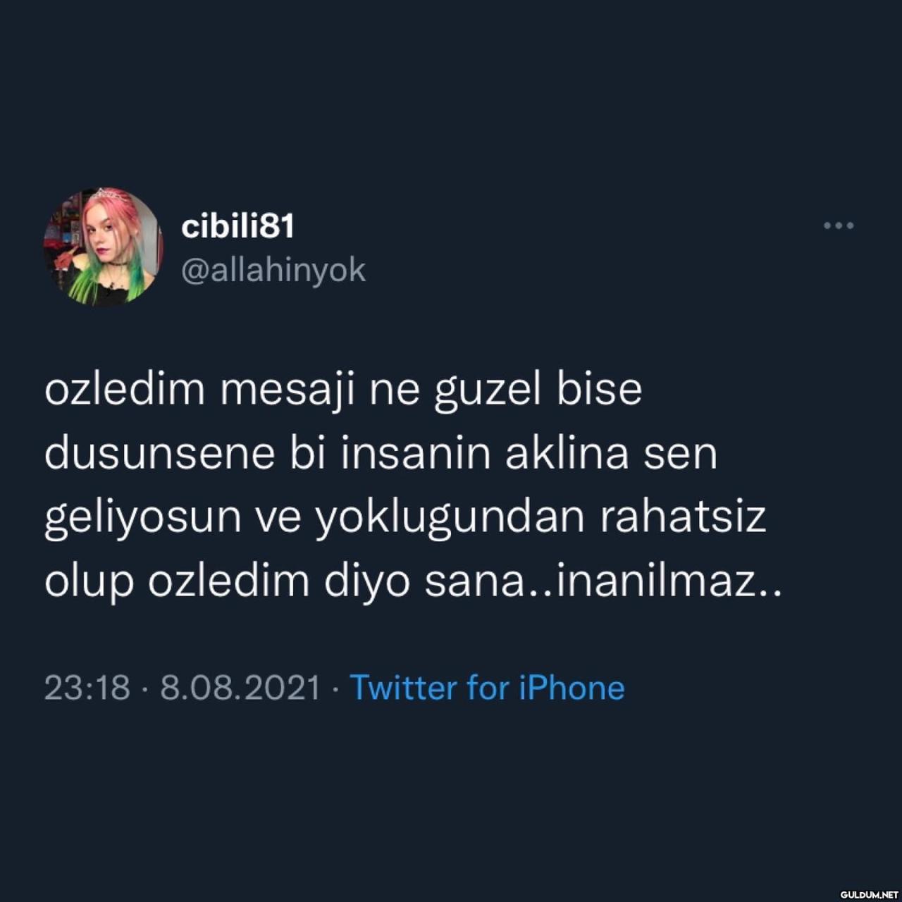 cibili81 @allahinyok...