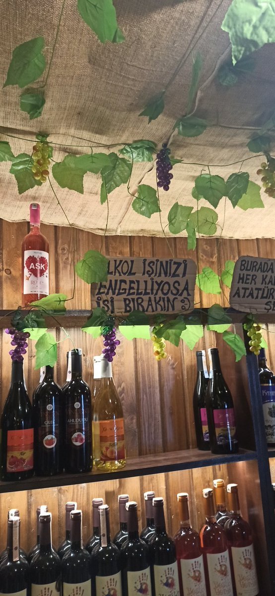 Mxmsndksşsjshdhdhd...