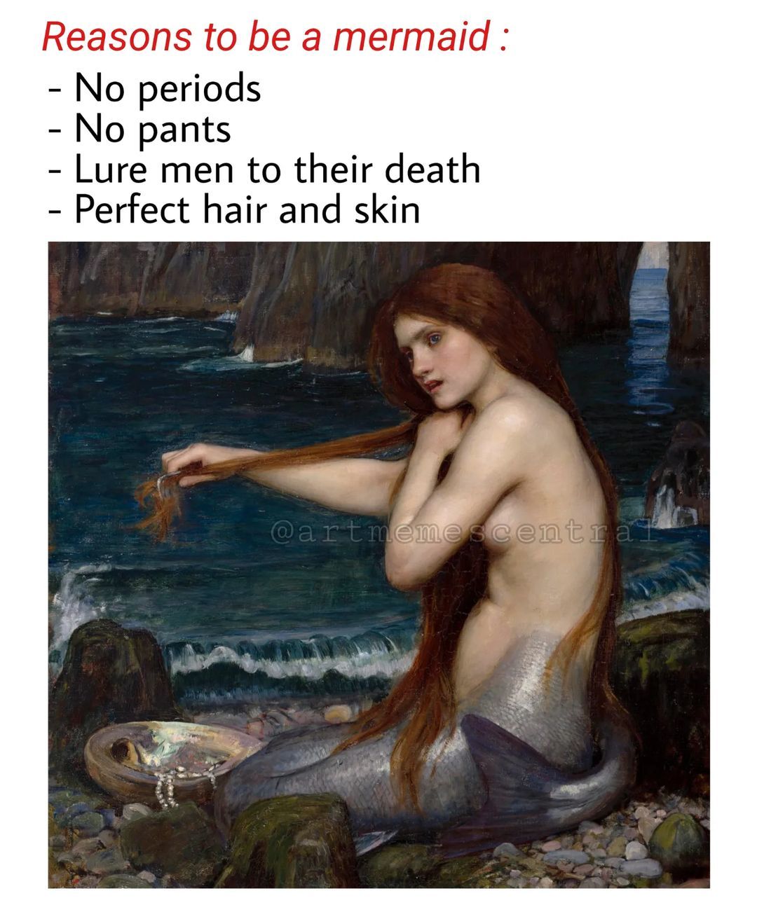🧜‍♀️ . . . #nichememes...