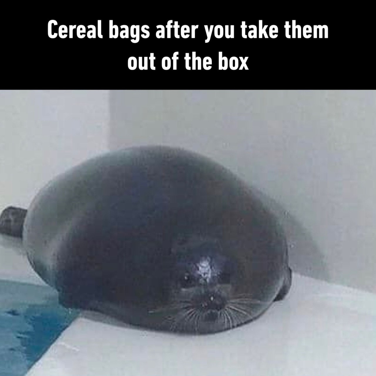 45% air - #cerealbag...