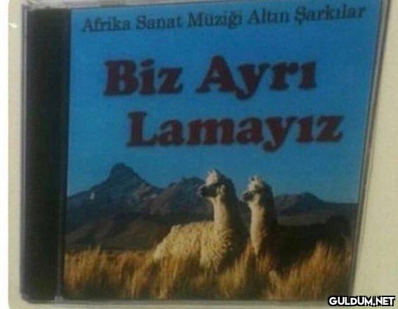 Afrika Sanat Müziği Altın...