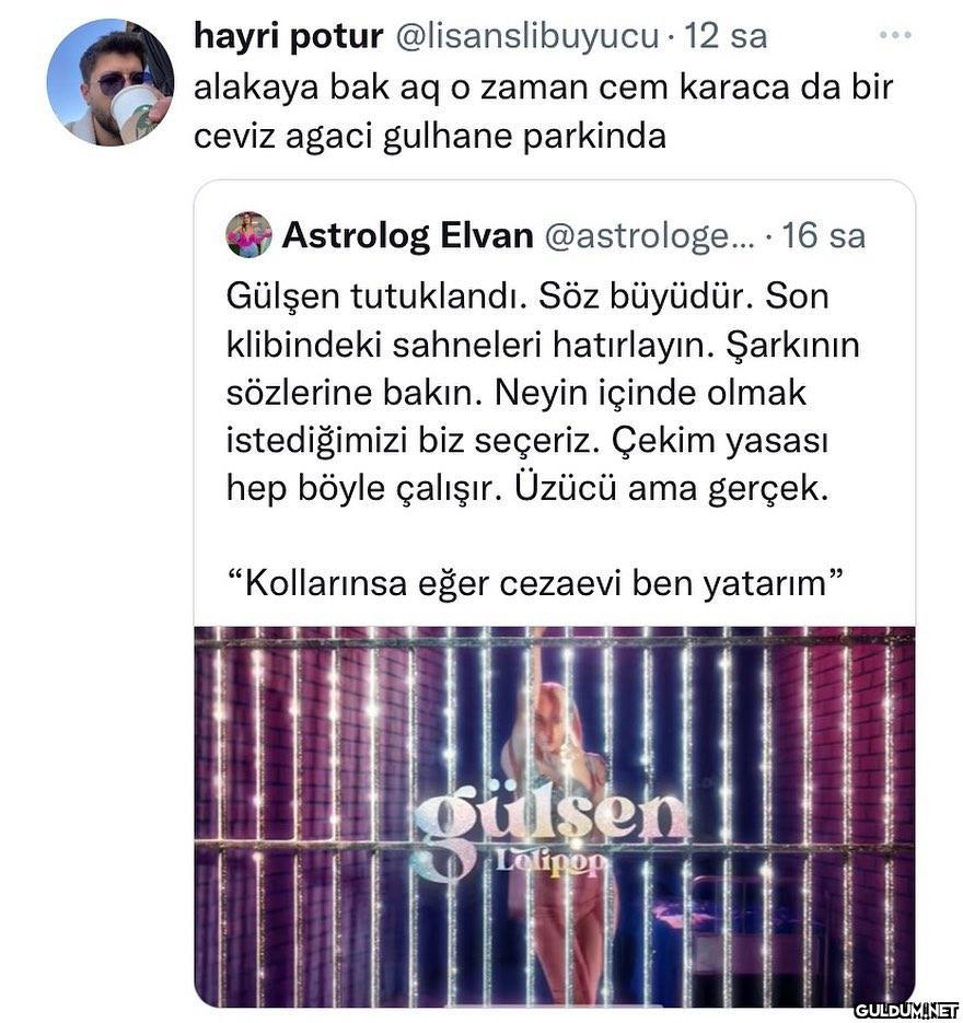 hayri potur...