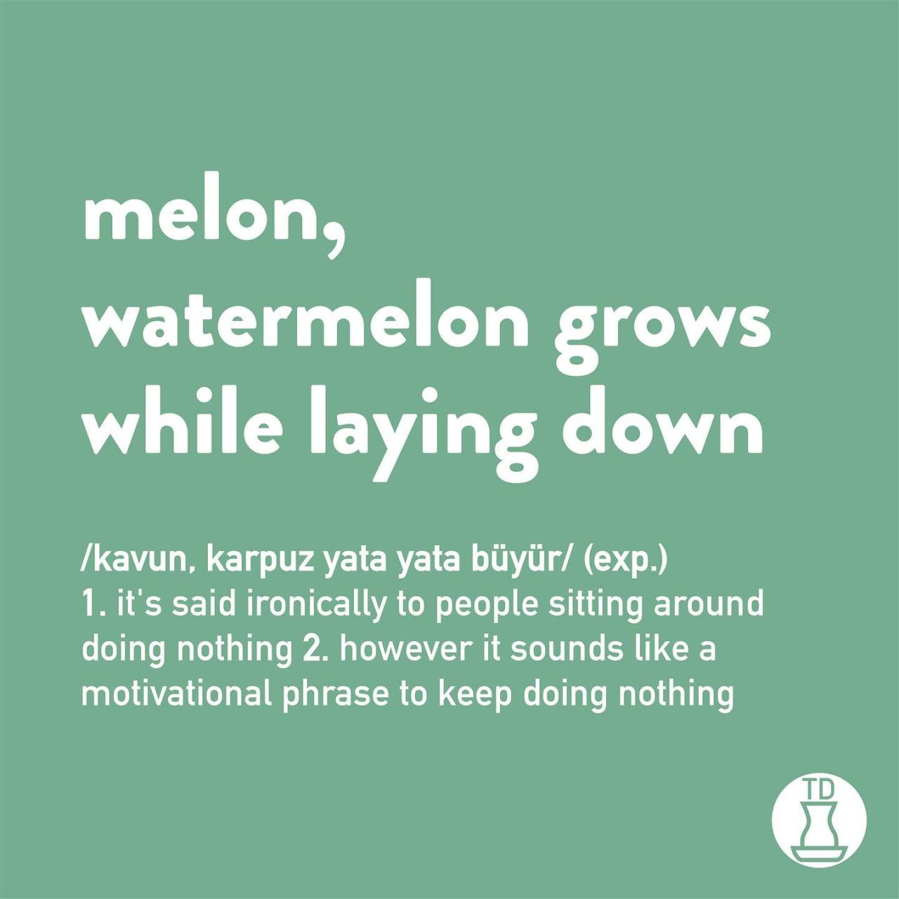 Happy Watermelon Day! 🍉🎉  ...