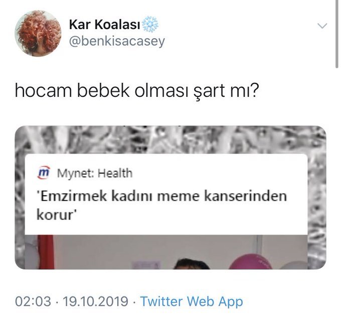 Kar Koalası @benkisacasey...