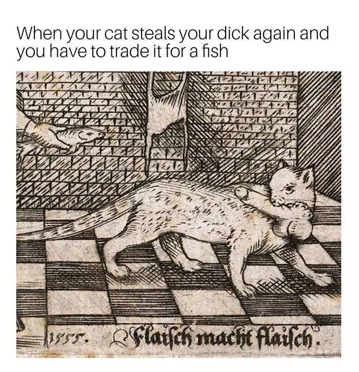 . . . . #funnymemes...