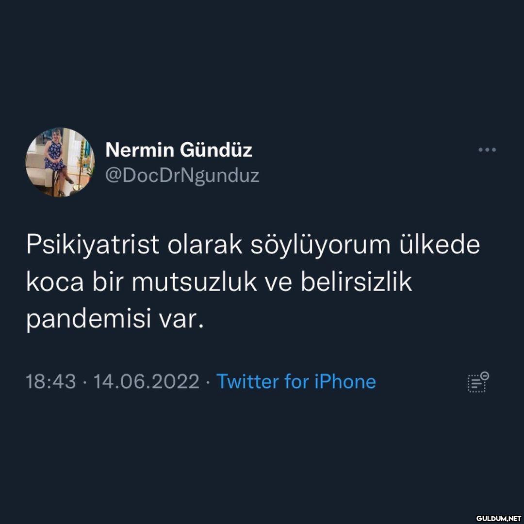 Nermin Gündüz...