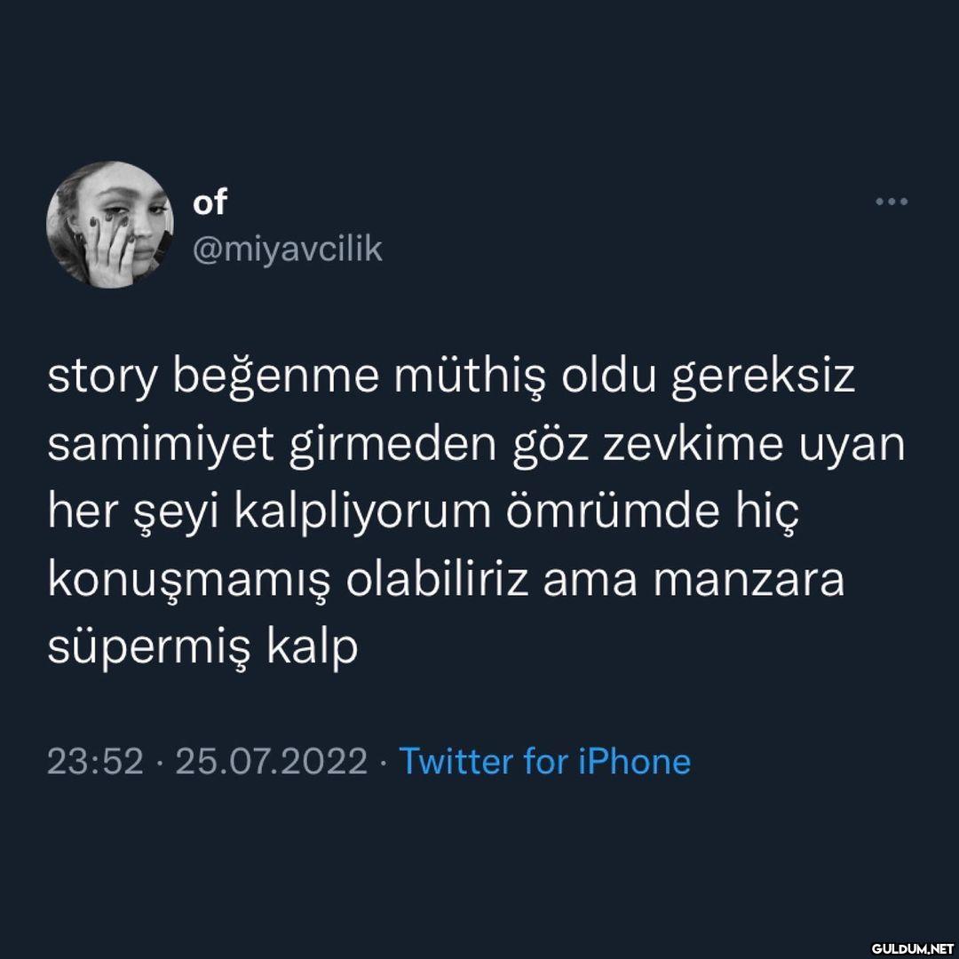 of @miyavcilik ... story...