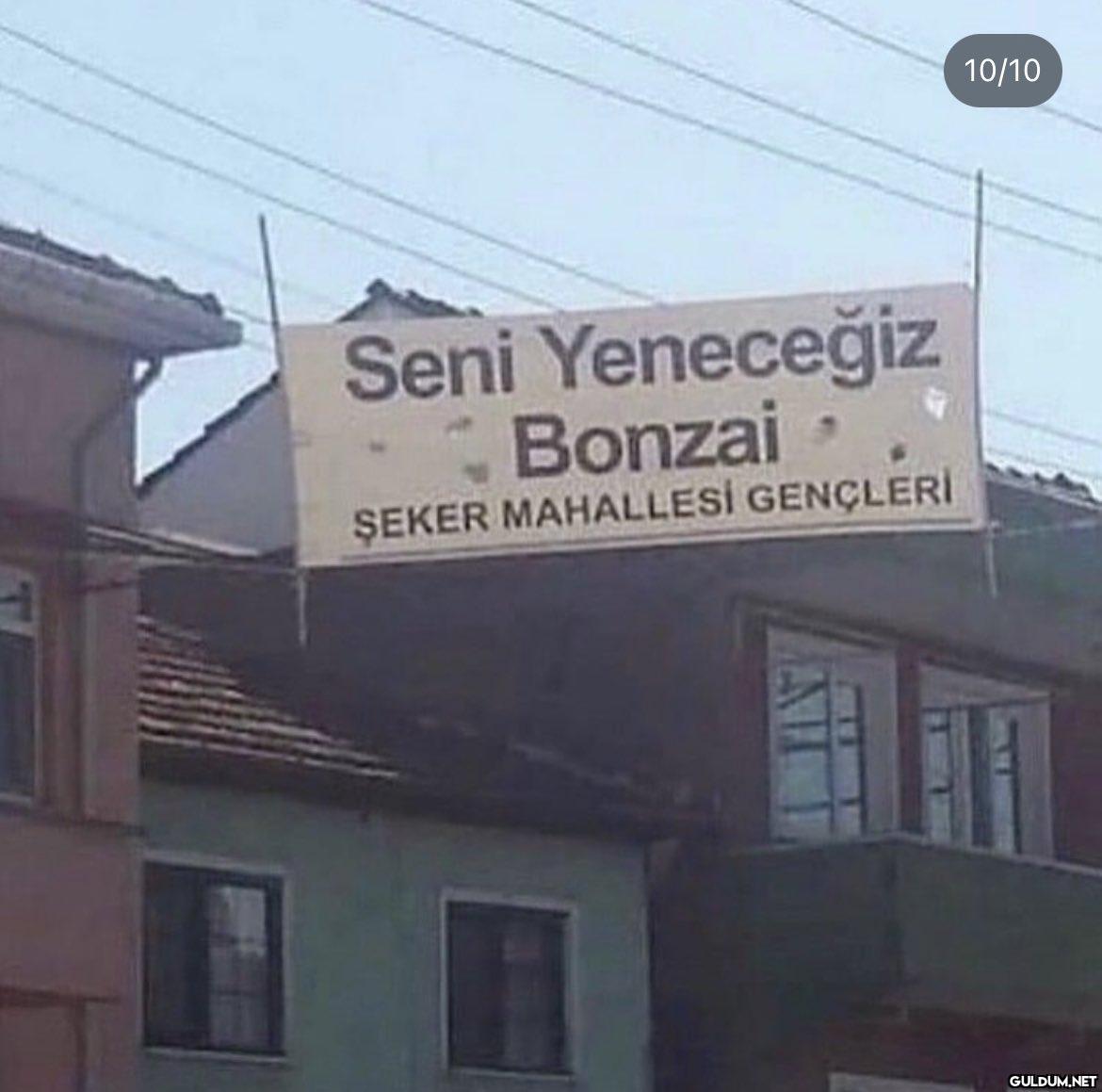 Seni Yeneceğiz Bonzai...