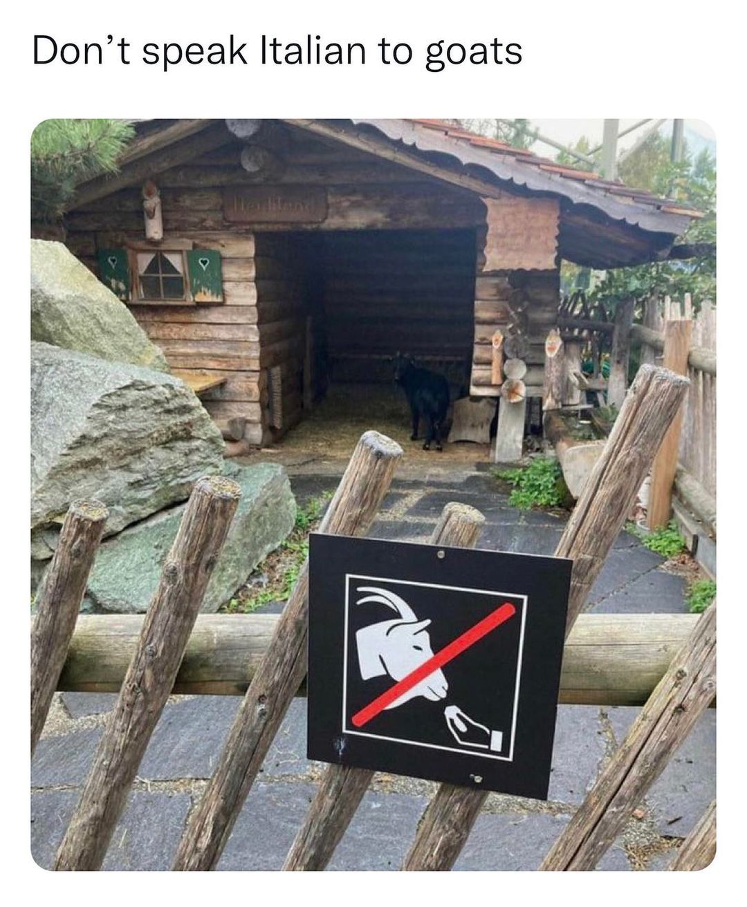 Kaynak