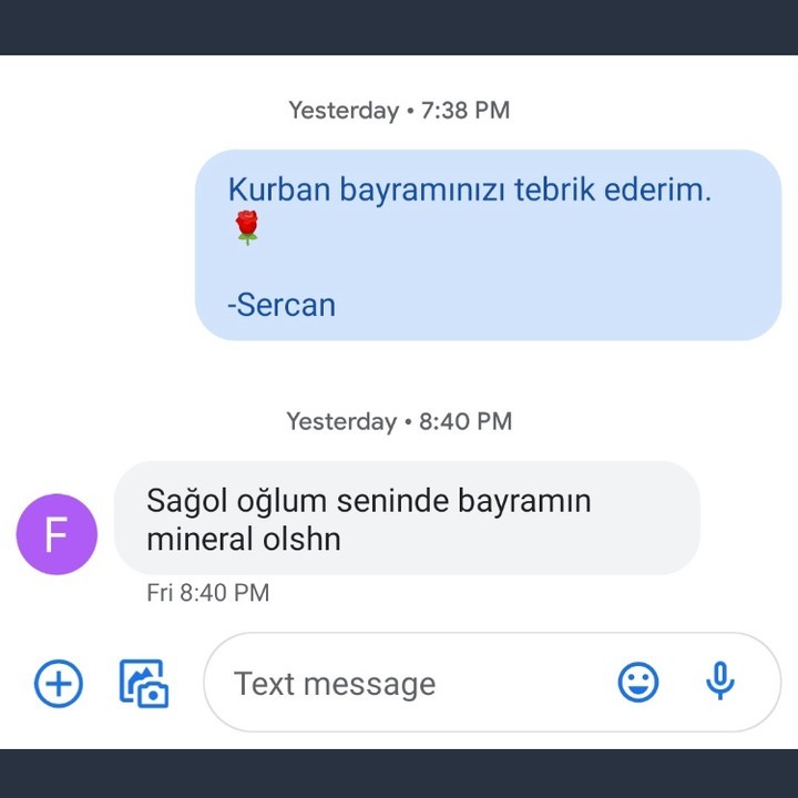 Akşamdan kalmış dayı aklı...