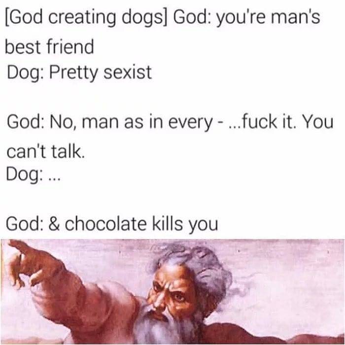 . . . . . . #memesrlife...