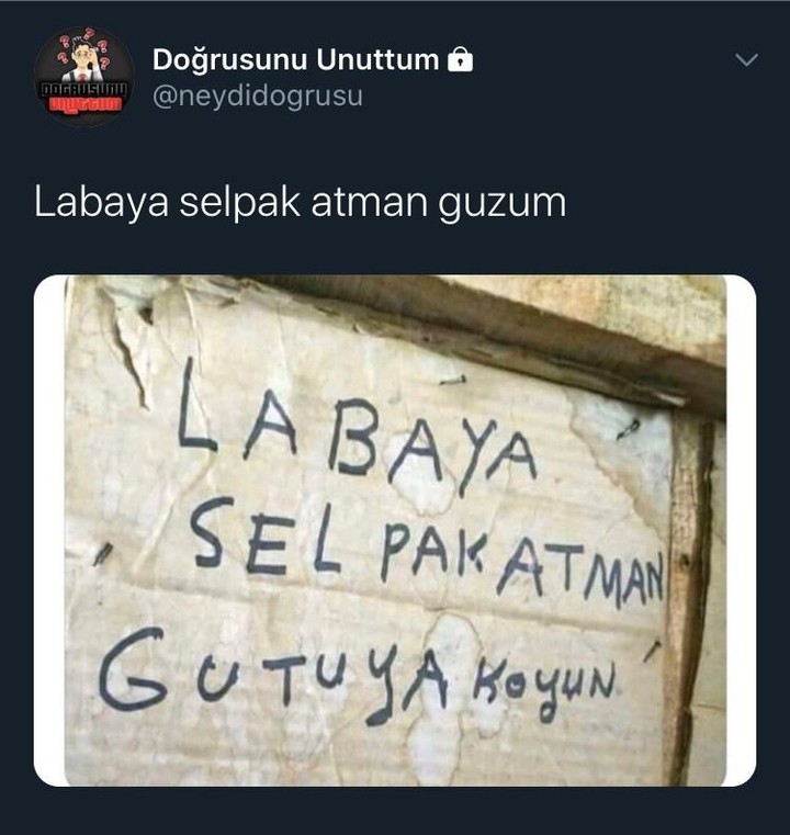 Koyun değil yalnız,...