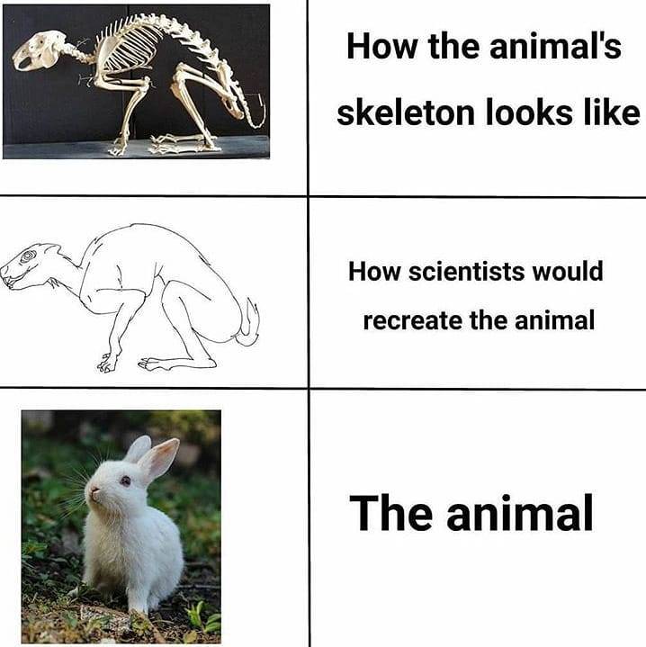 . . .  . #funnymemes...