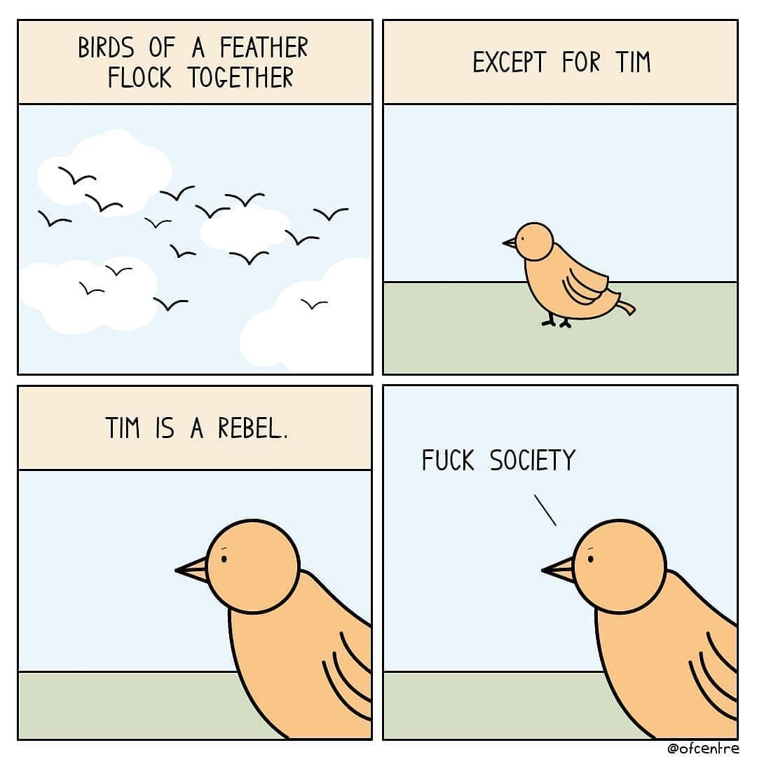 via: @Comics.Collective 🐤...