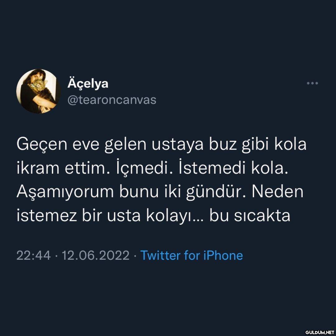 Äçelya @tearoncanvas Geçen...