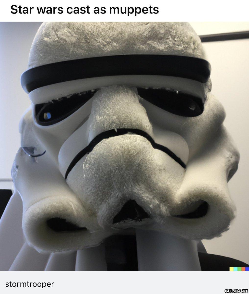 Star wars cast as muppets...