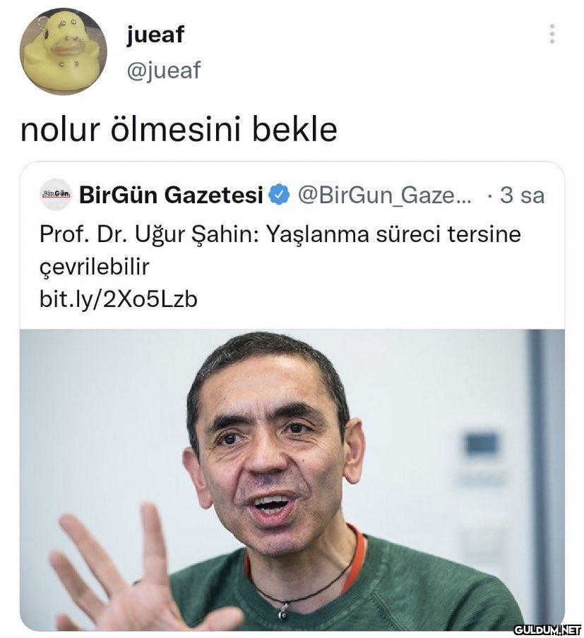 jueaf @jueaf nolur...