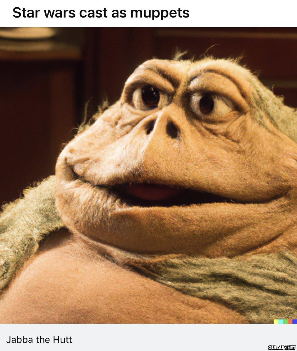 Star wars cast as muppets...