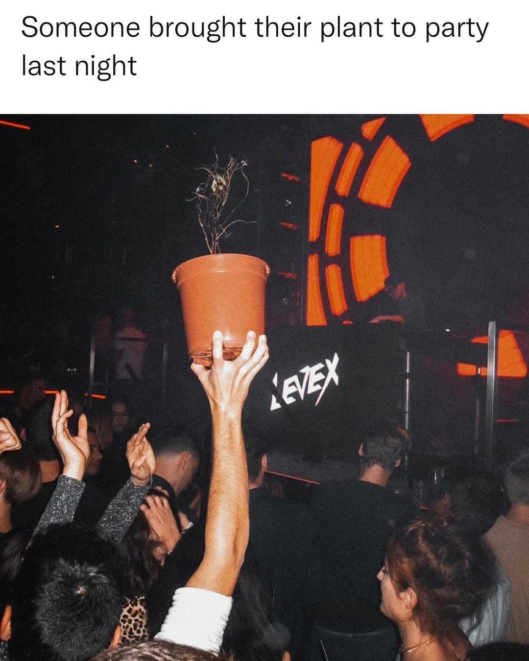Who’s gonna tell him it’s...