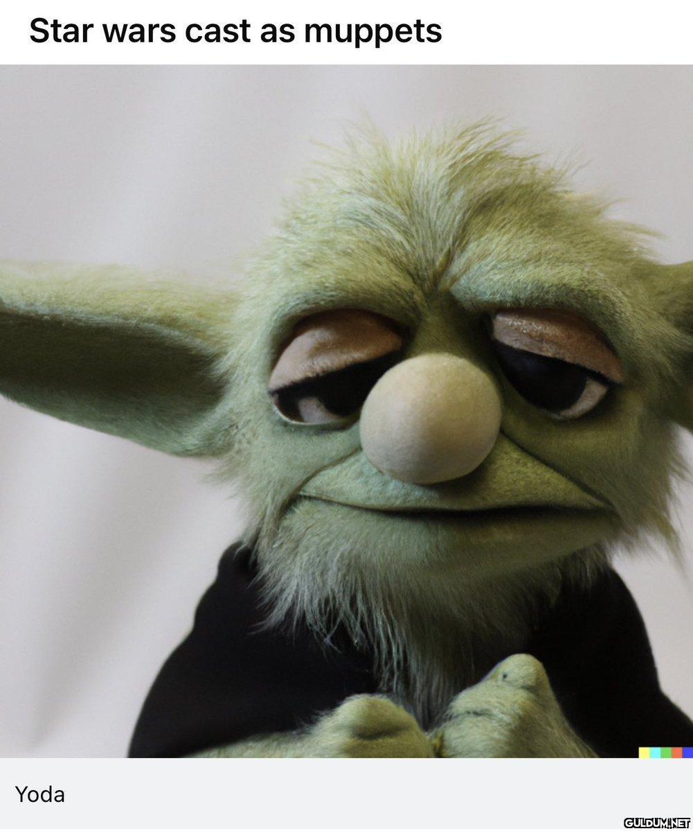 Star wars cast as muppets...