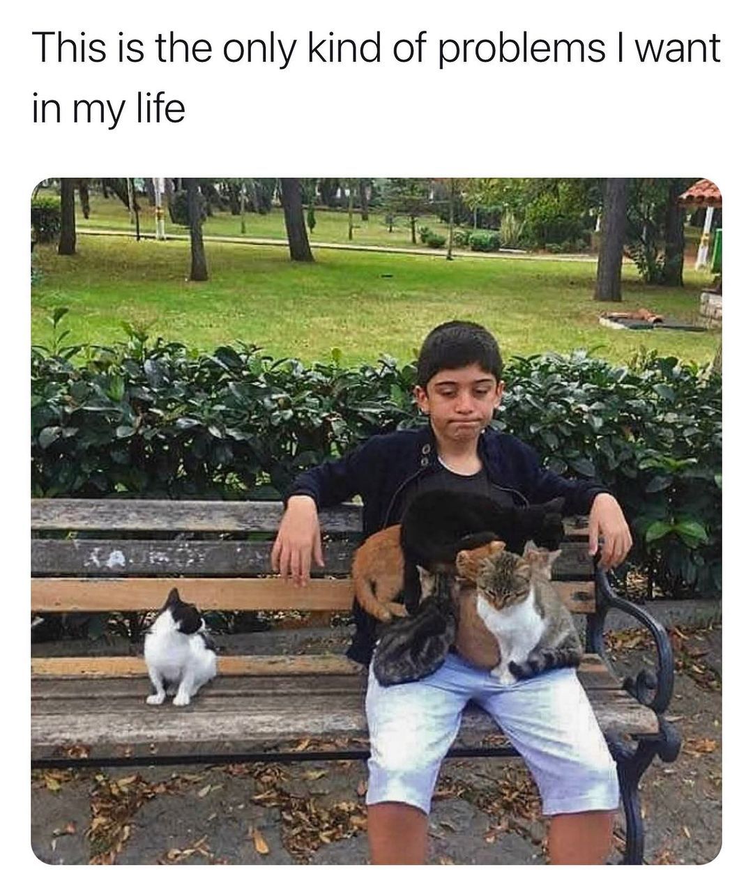 Kaynak