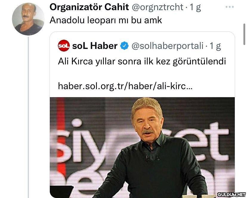 Organizatör Cahit...