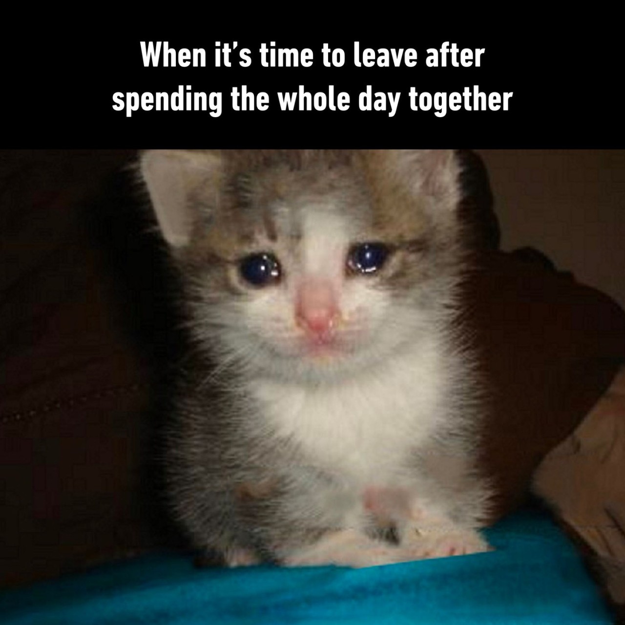 don't wanna say goodbye -...