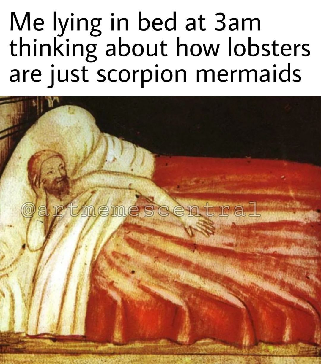 🦞🦂 . . #funnymemes...
