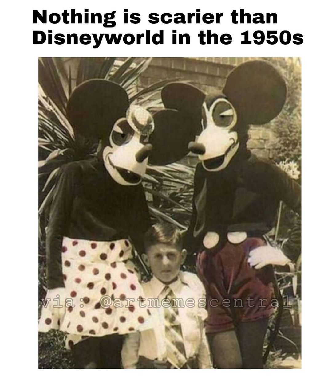 . . . . . #funnymemes...