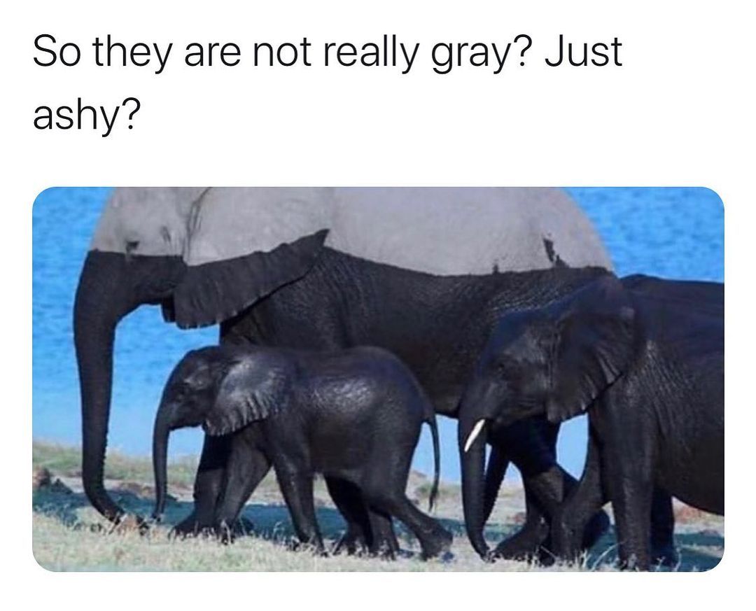 I feel dumb now   Kaynak