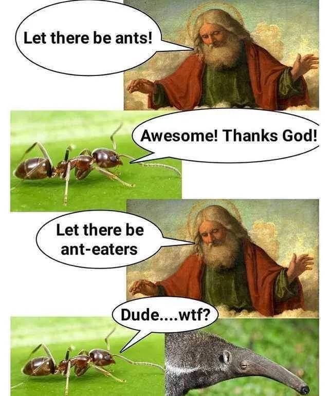 . . . . #funnymemes...