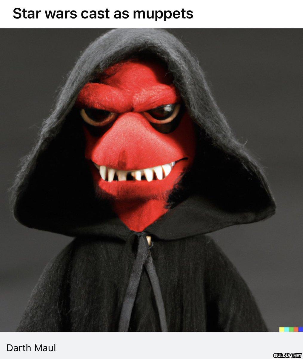 Star wars cast as muppets...