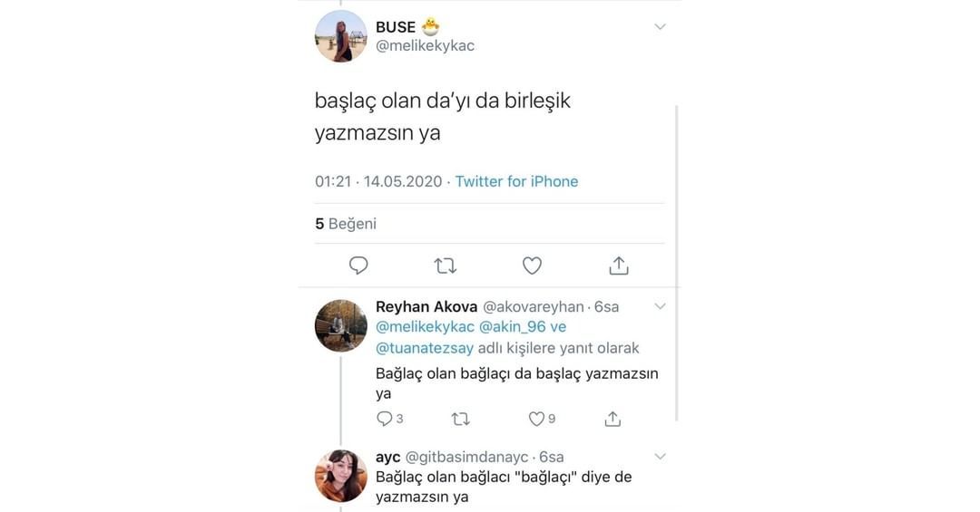 Aşçı bahçıvana, bahçıvan...