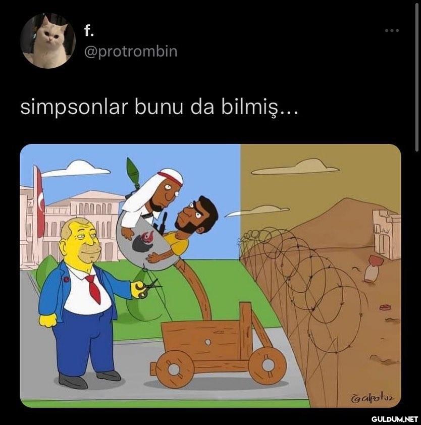 f. @protrombin simpsonlar...