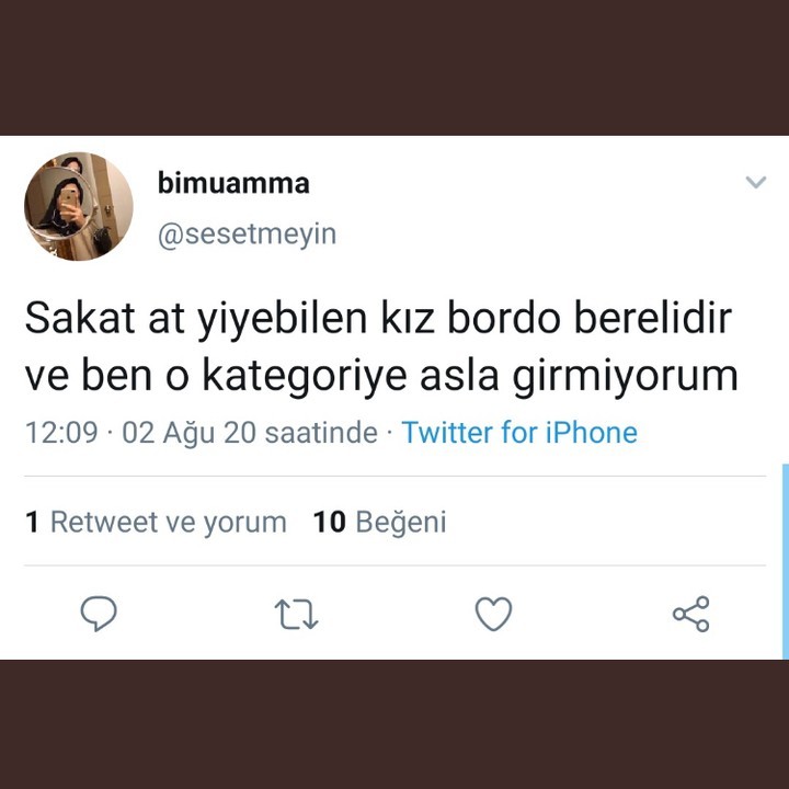 Benim bildiğim, sakat atı...