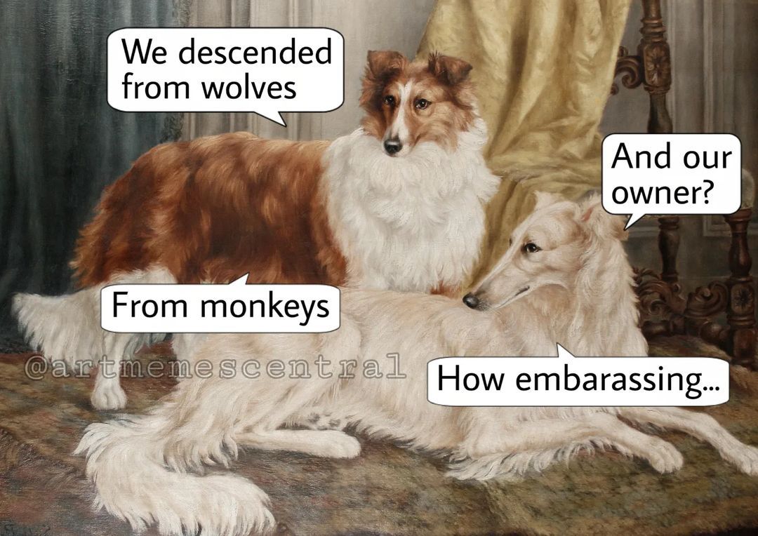 🐕 . . . #nichememes...