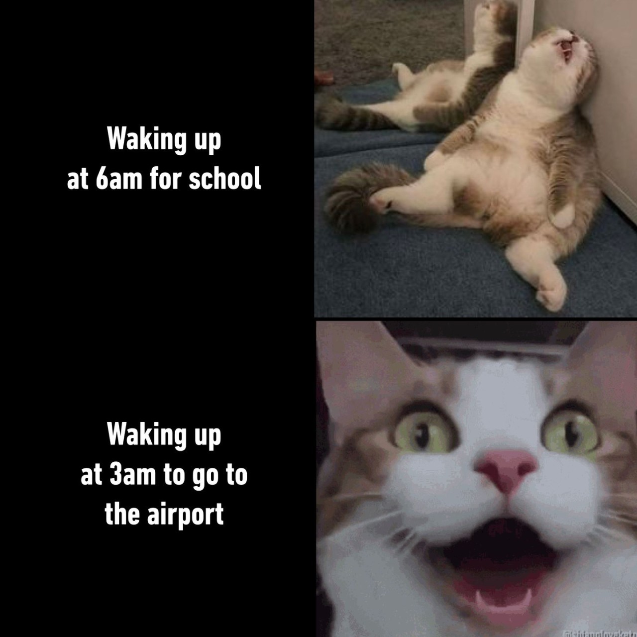 so hyped 🤩  - #school...