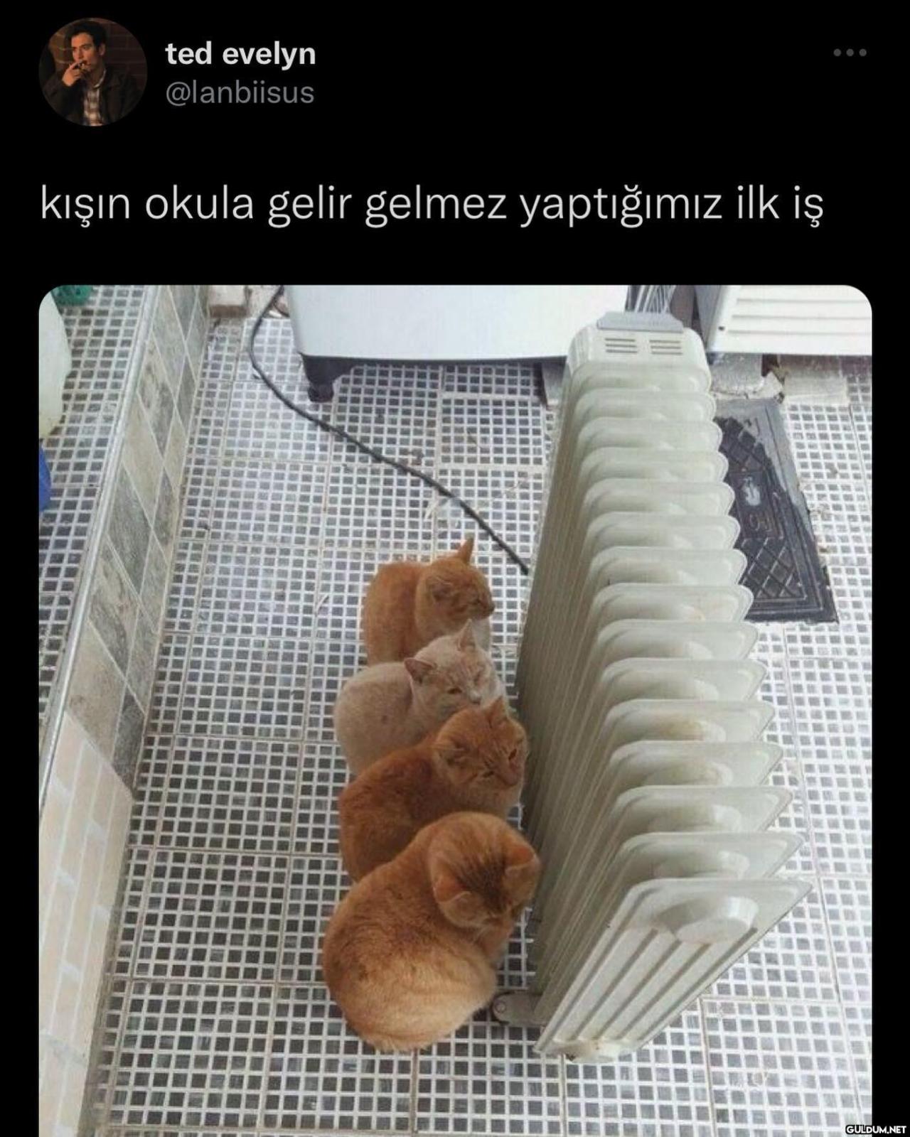 anlik butun okul    ted...