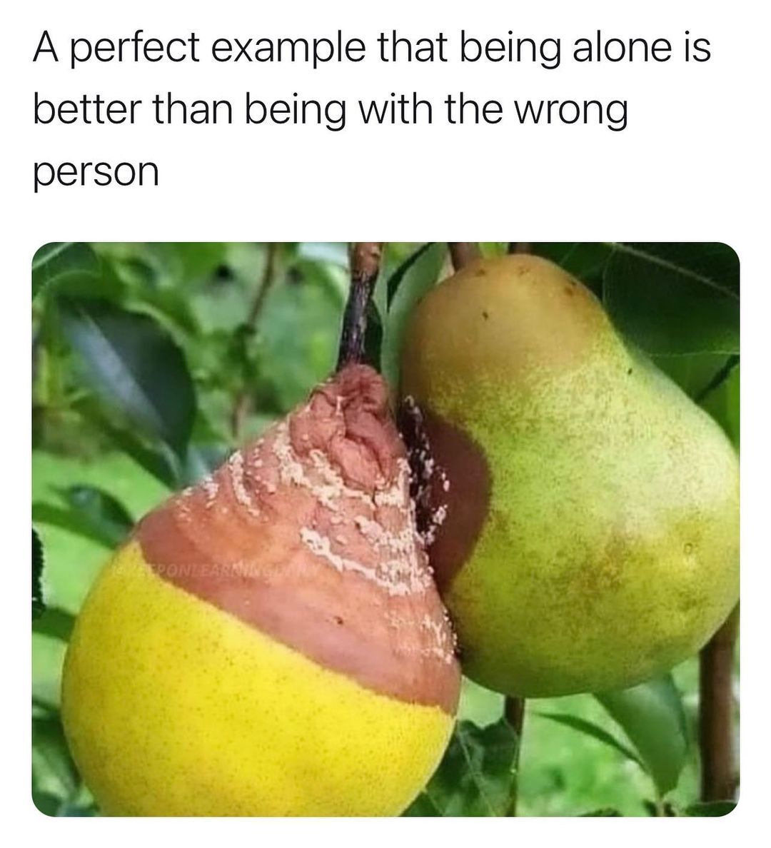 Left one‘s toxic af...