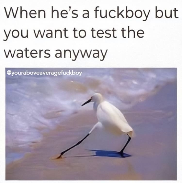 Kaynak