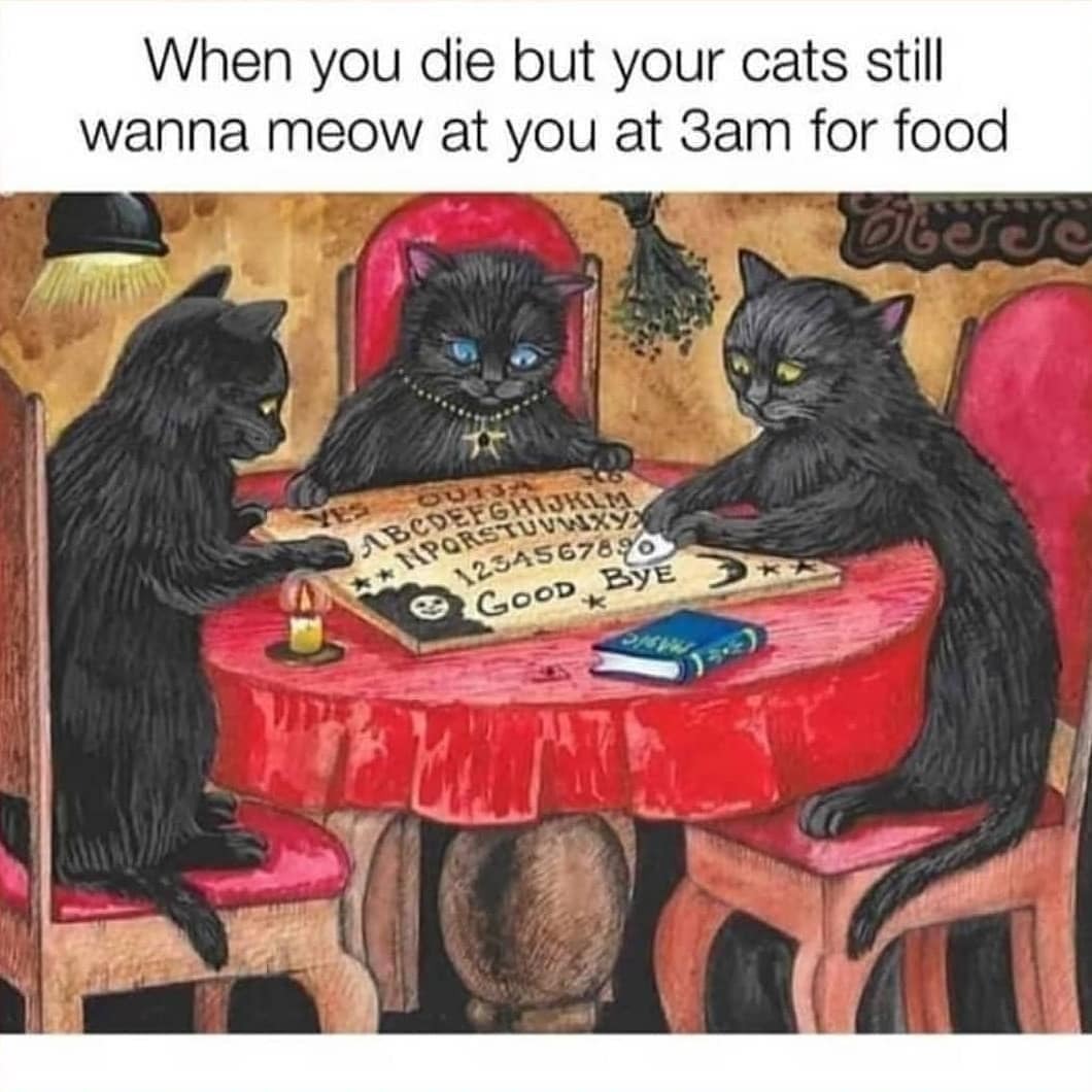 . . . . #funnymemes...