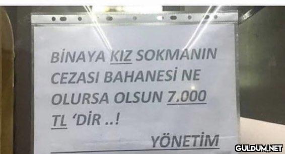 BİNAYA KIZ SOKMANIN CEZASI...