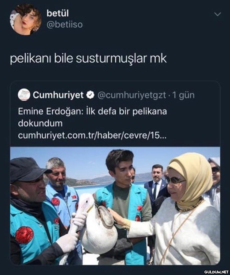betül @betiiso pelikani...