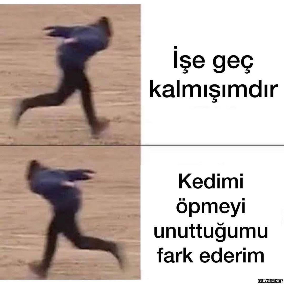 İşe geç kalmışımdır Kedimi...