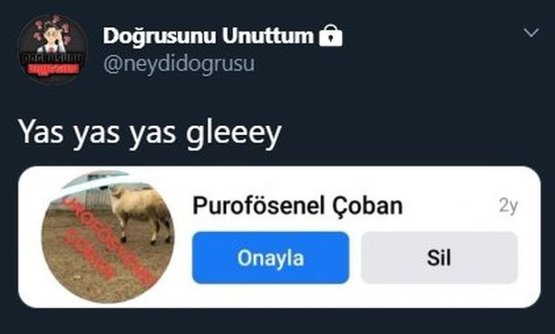 Çoban değil, sürü yönetim...