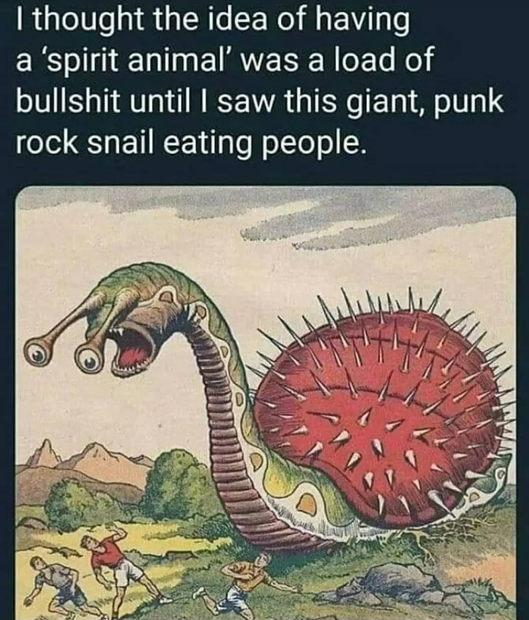 my spirit animal . . ....