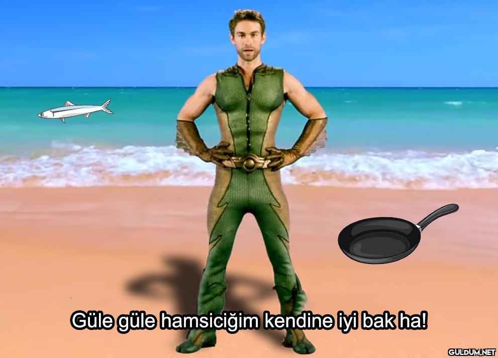 Güle güle hamsiciğim...