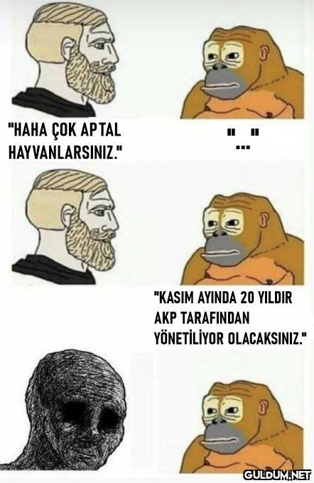 "HAHA ÇOK APTAL...